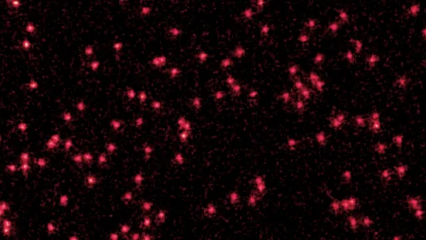 L’immagine che cambia tutto: atomi catturati in stato di onda Futuro Prossimo