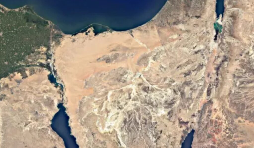 Sinai: il “folle” progetto per rendere il deserto un paradiso verde Futuro Prossimo