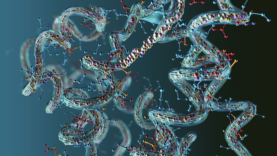 Il Nobel “premia” AlphaFold2, l’AI che ha decodificato la vita Futuro Prossimo