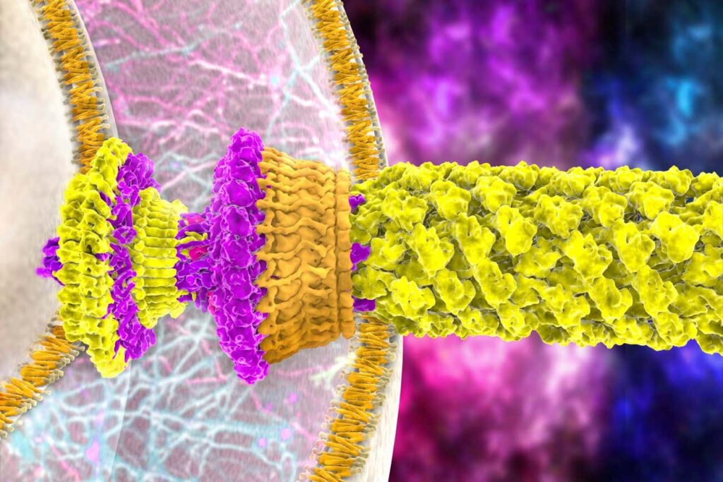 Microrobot batterico: il più piccolo motore vivente mai costruito Futuro Prossimo