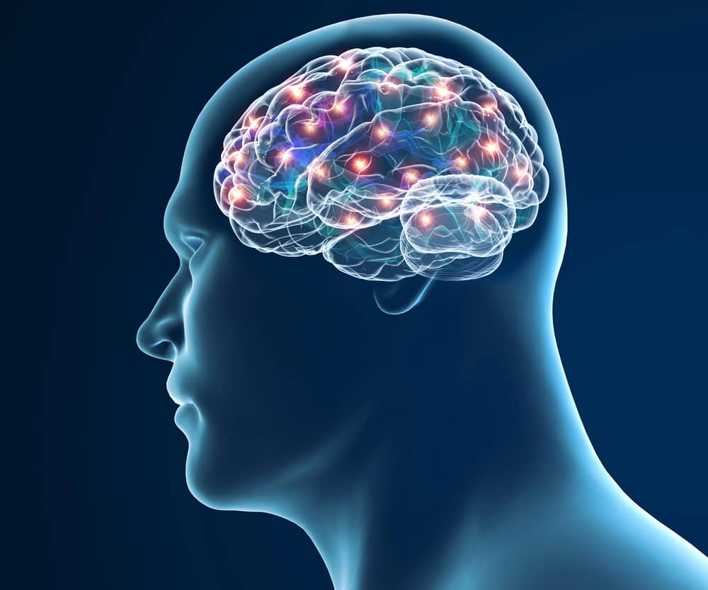 PKMzeta, scoperta la “colla” che tiene insieme i ricordi Futuro Prossimo