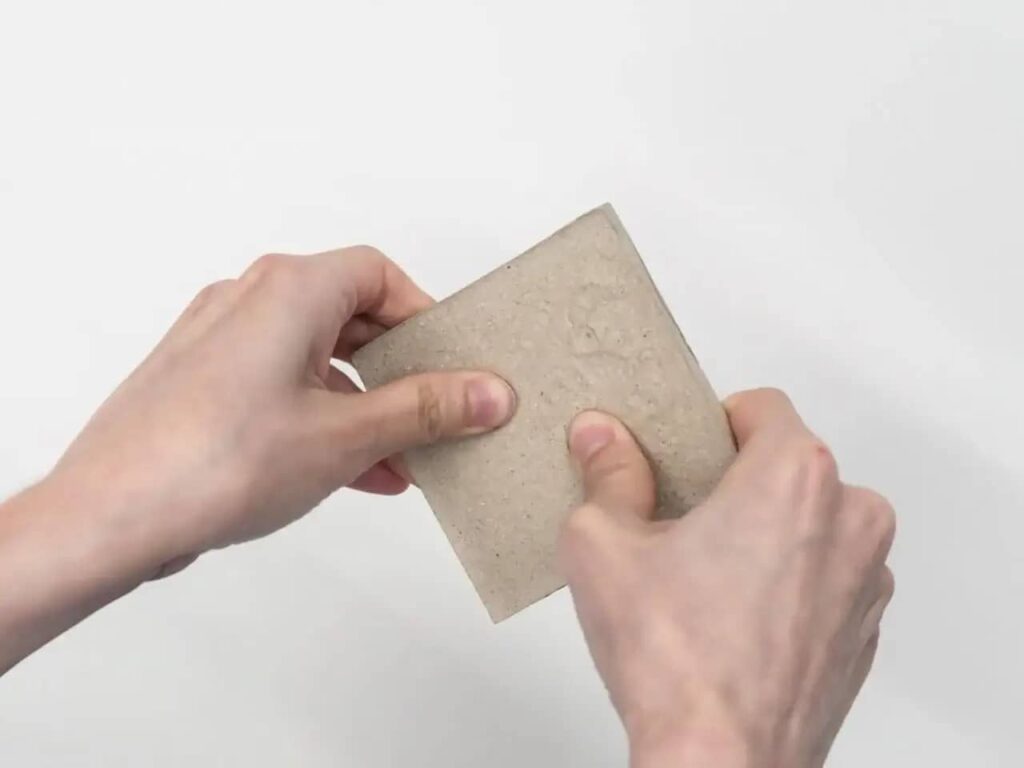 Riciclo creativo: da scarti marini il mattone che sfida la salsedine Futuro Prossimo