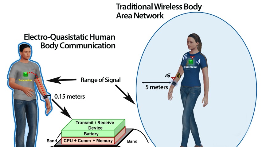 Cavo USB umano: come il nostro corpo potrà connettere dispositivi Futuro Prossimo