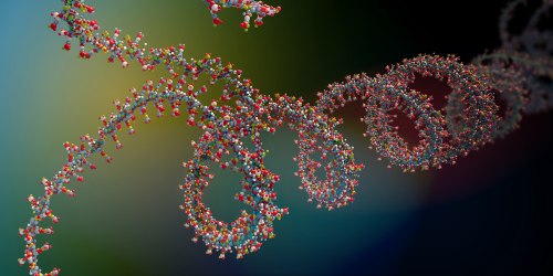 Altro che DNA spazzatura: trovati 3000 nuovi geni Futuro Prossimo