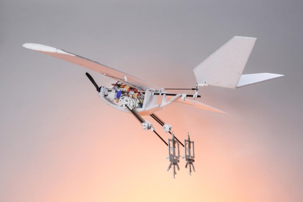 RAVEN, corvo robot che vola e cammina Futuro Prossimo