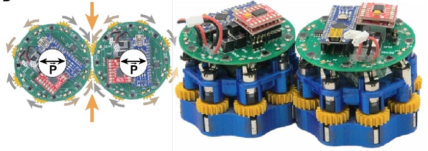 Claytronics: lo sciame di robot liquidi che regge un essere umano Futuro Prossimo
