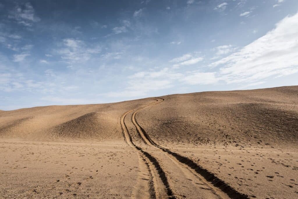 Trasporti preistorici: carriola di 22.000 anni fa riscrive la storia Futuro Prossimo