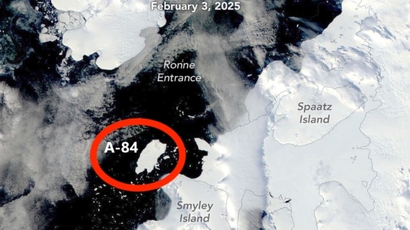 A-84, l’iceberg gigante svela paradisi che non dovremmo vedere Futuro Prossimo