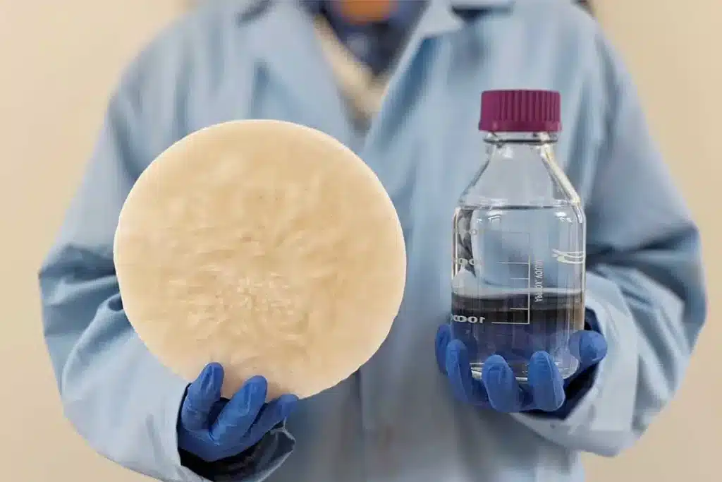 Nuova tecnologia ambientale, acqua dai rifiuti grazie all’umidità Futuro Prossimo