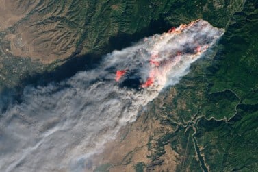 La scienza conferma: i disastri naturali sabotano le decisioni Futuro Prossimo