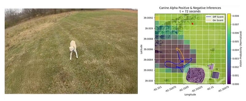 COSMIC-T, la sorprendente sinergia tra cani da soccorso e AI Futuro Prossimo