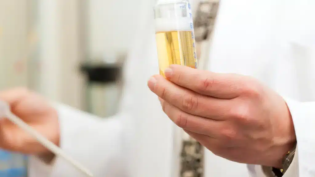 Un super lievito italiano produrrà medicine su misura Futuro Prossimo