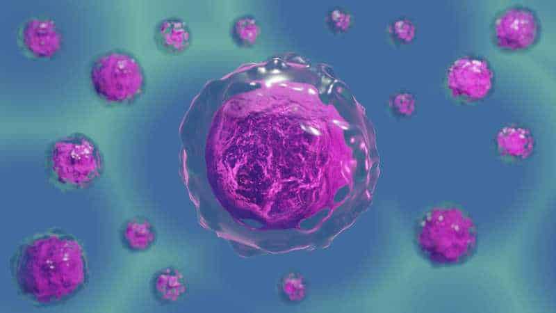 PROTEUS, l’intelligenza artificiale molecolare crea nuovi farmaci Futuro Prossimo