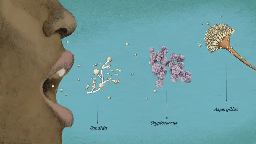 I funghi che abitano in noi controllano più di quanto credi Futuro Prossimo