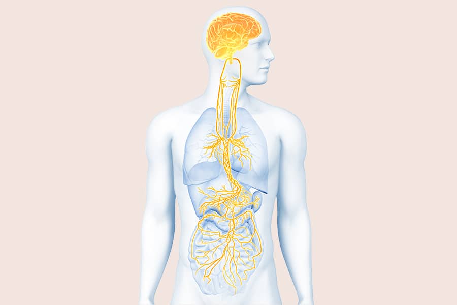 Artrite reumatoide, ok al mini impianto che batte i farmaci Futuro Prossimo