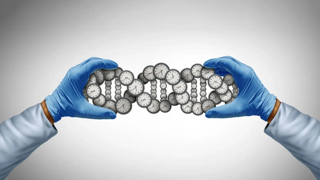 La scienza spiega chi invecchia prima e perché succede Futuro Prossimo