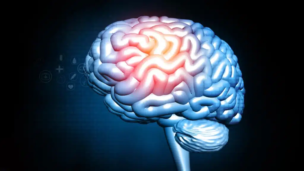 Dimagrire nella mezza età può infiammare il cervello Futuro Prossimo