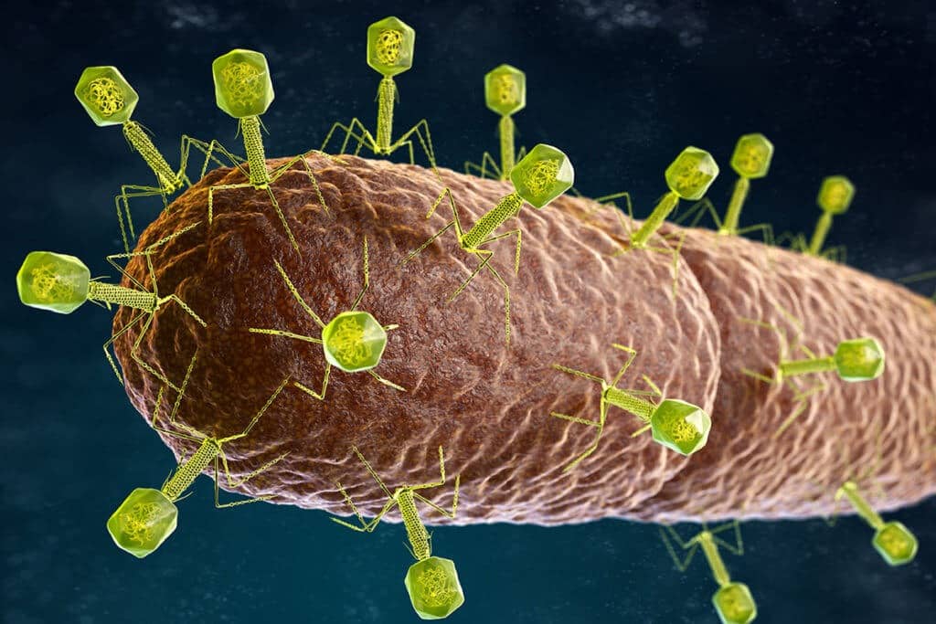 Biomining, un virus modificato estrae le terre rare dalle miniere Futuro Prossimo