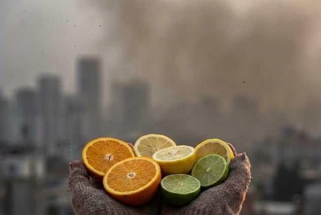 Frutta, -26% impatto di PM2.5: svolta per salute respiratoria Futuro Prossimo