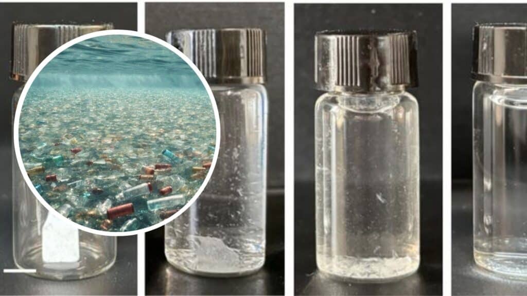 Sei giorni per sparire: la plastica vivente è realtà Futuro Prossimo