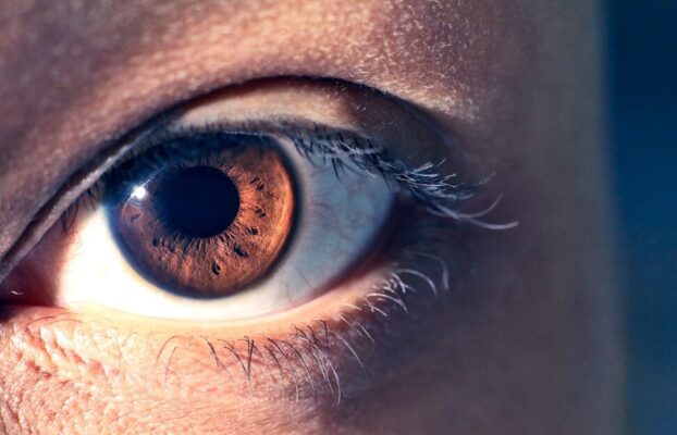 Cecità ereditaria: una terapia genica ha riparato più del previsto Futuro Prossimo