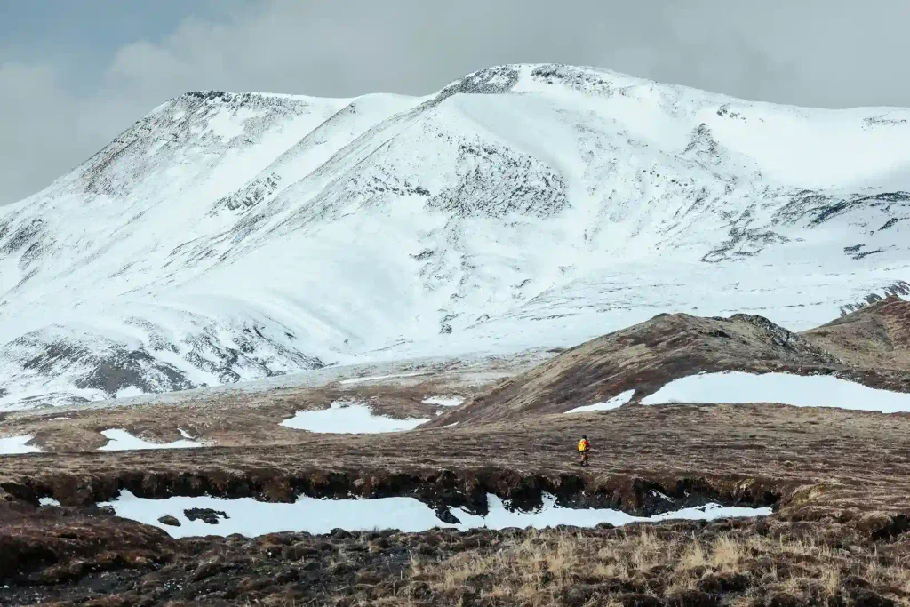 Perché stanno stendendo tappeti di legno e cocco sul permafrost in Artico? Futuro Prossimo