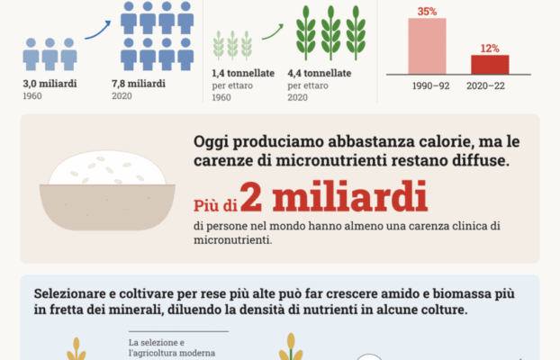 Frutta, grano e ortaggi stanno perdendo tutti i minerali Futuro Prossimo