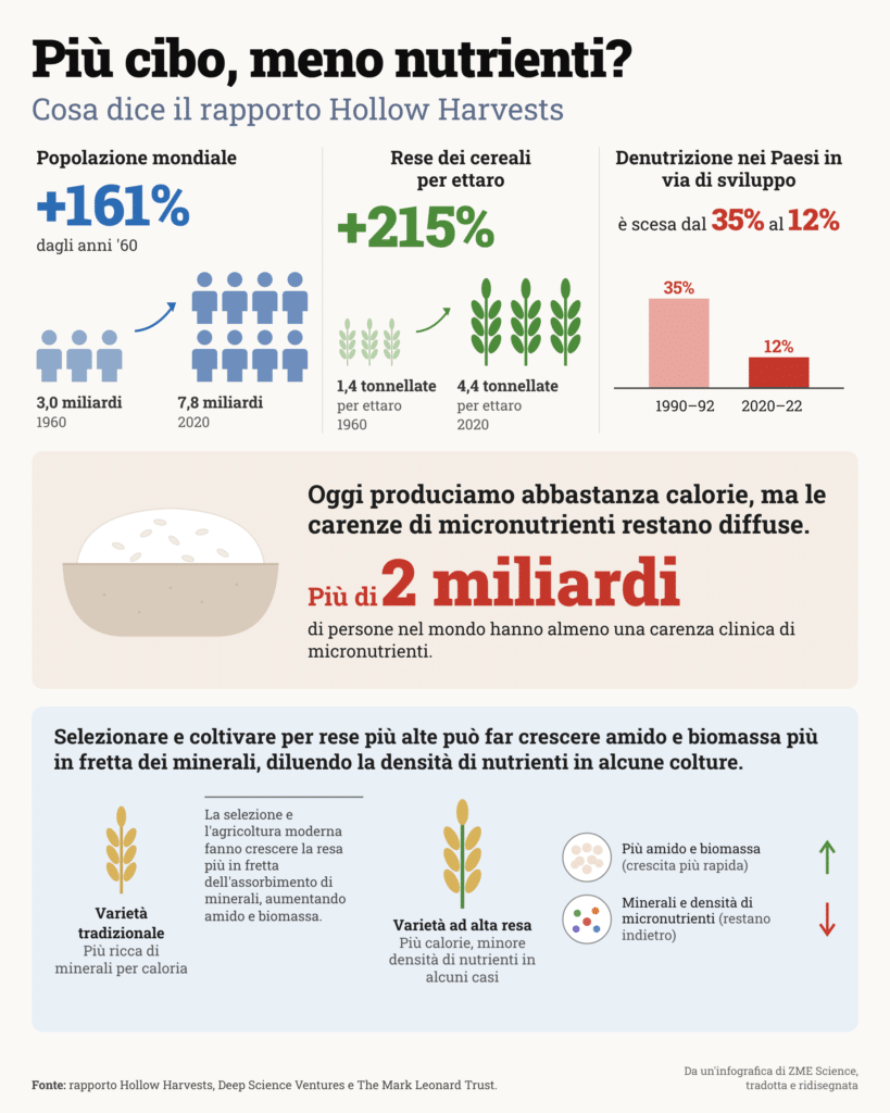 Frutta, grano e ortaggi stanno perdendo tutti i minerali Futuro Prossimo