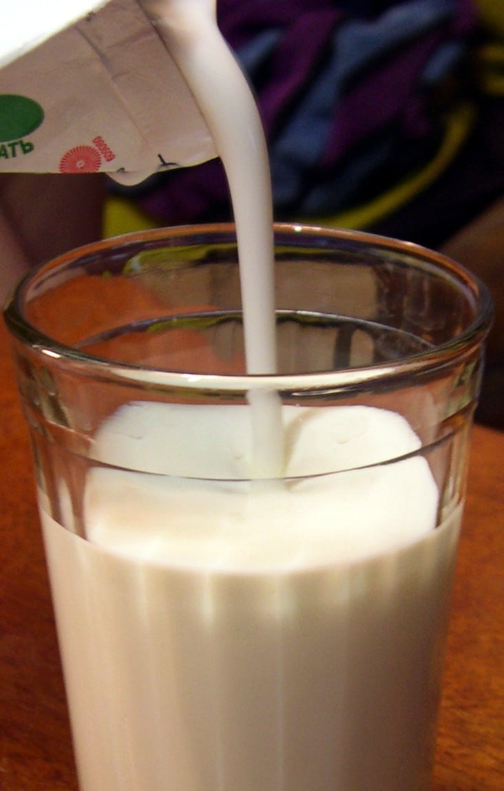 Londra e Belfast studiano come l’intestino parla ai muscoli passando dal kefir Futuro Prossimo